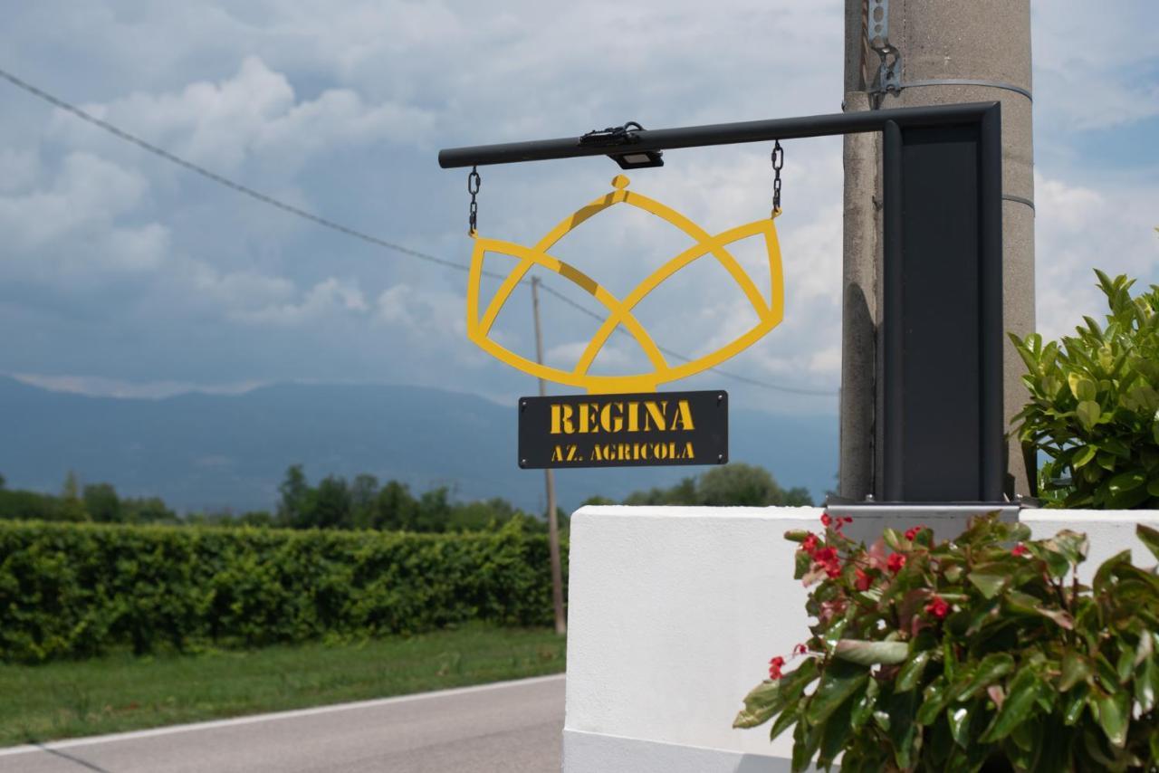 Regina Nel Cuore Del Veneto Codogne Экстерьер фото